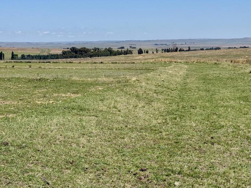 0 Bedroom Property for Sale in Tweeling Free State